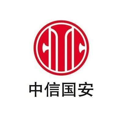 青海中信国安锂业发展有限公司